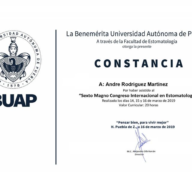 Ampliar imagen: certificate 7