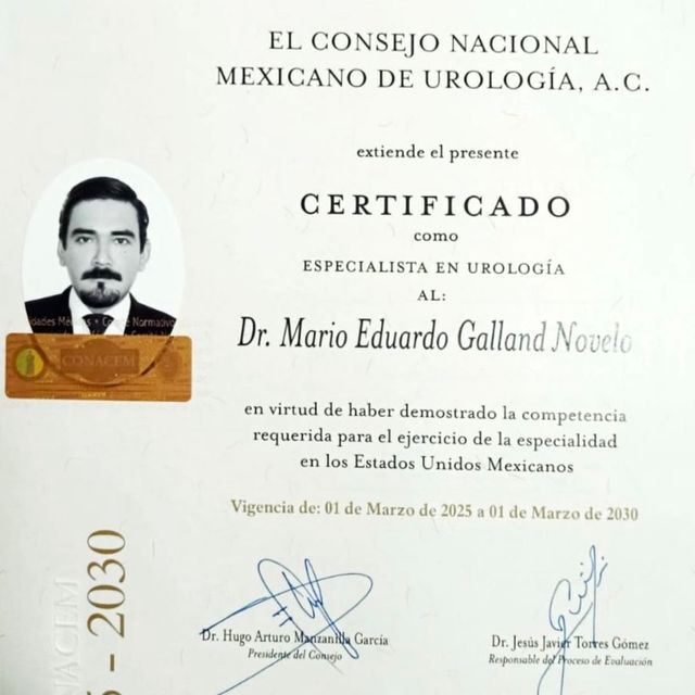 Ampliar imagen: certificate 2