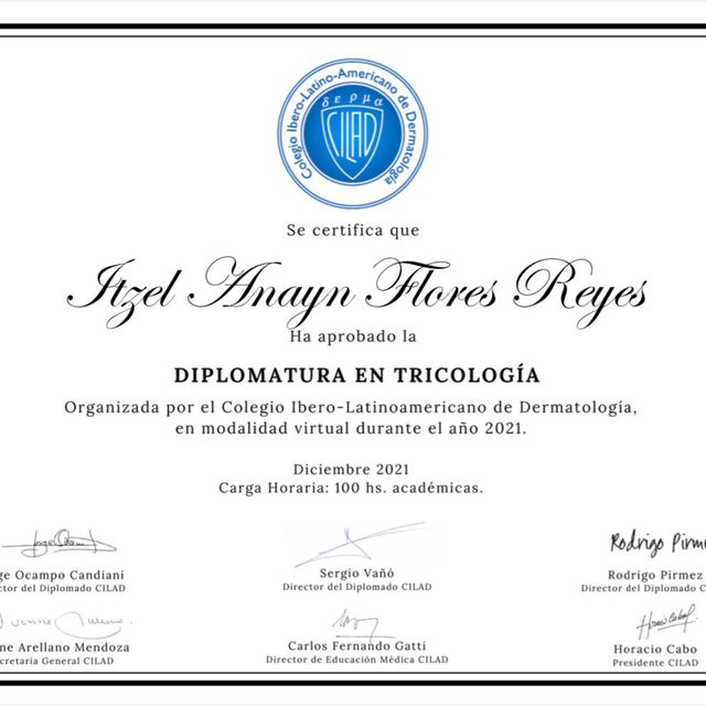 Ampliar imagen: certificate 4