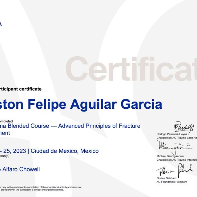 Ampliar imagen: certificate 1