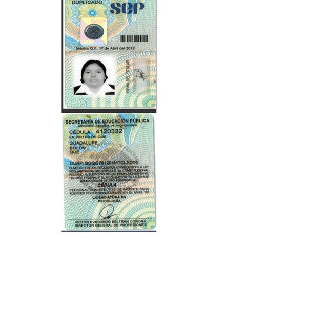 Ampliar imagen: certificate 7