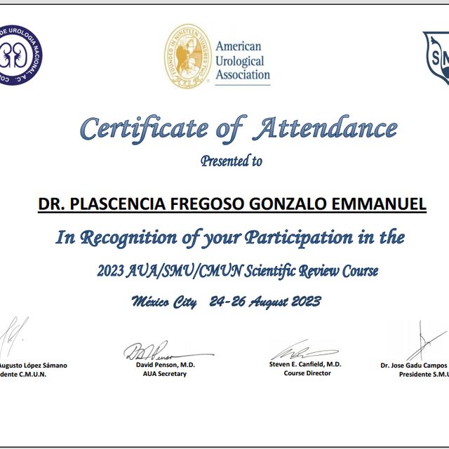 Ampliar imagen: certificate 4