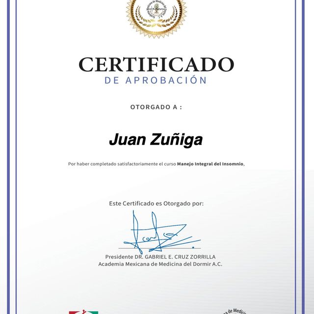 Ampliar imagen: certificate 2