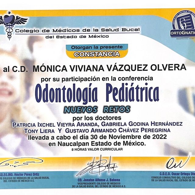 Ampliar imagen: certificate 41