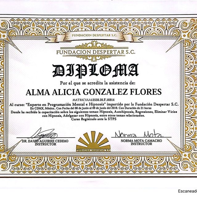 Ampliar imagen: certificate 33