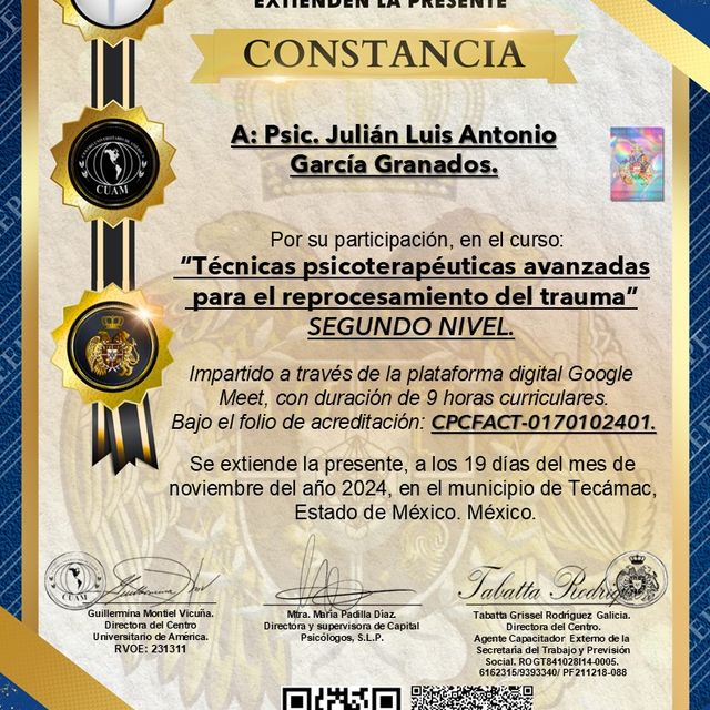 Ampliar imagen: certificate 5