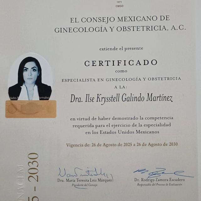 Ampliar imagen: certificate 1