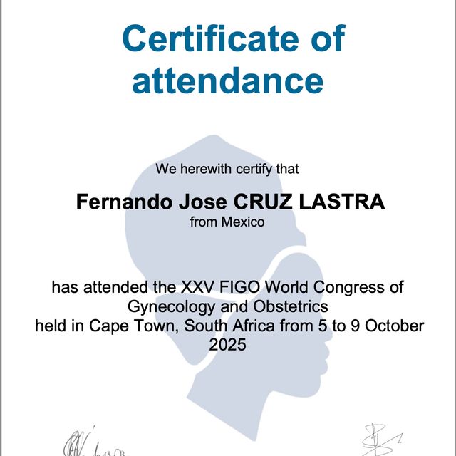 Ampliar imagen: certificate 4