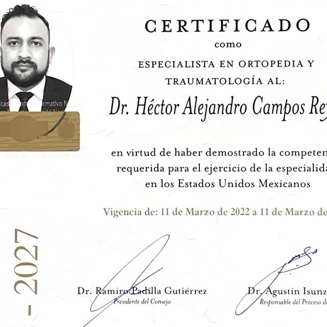 Ampliar imagen: certificate 2