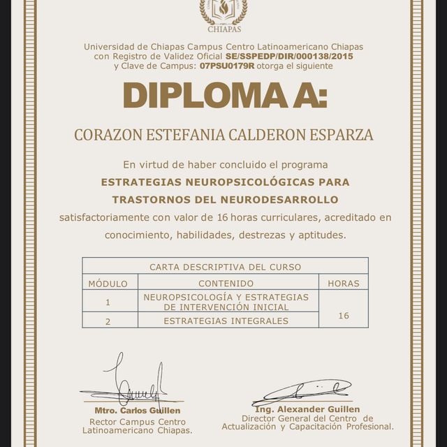 Ampliar imagen: certificate 8