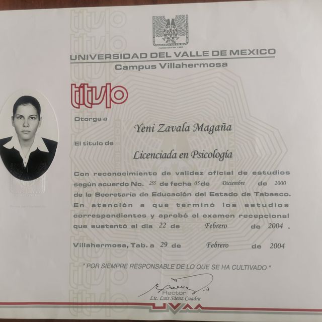 Ampliar imagen: certificate 1