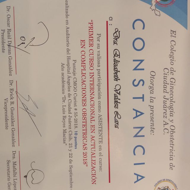 Ampliar imagen: certificate 5