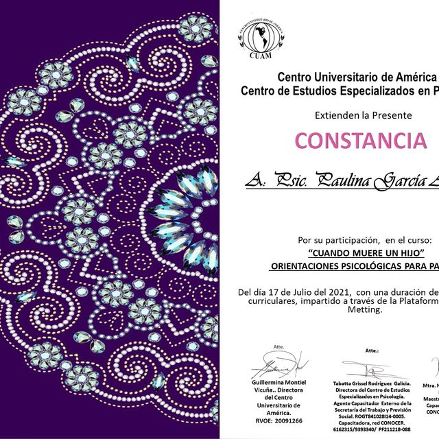 Ampliar imagen: certificate 14