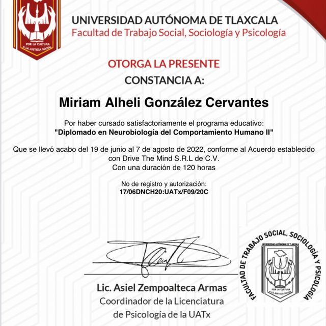 Ampliar imagen: certificate 13