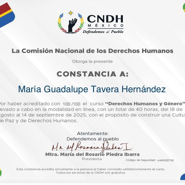 Ampliar imagen: certificate 5