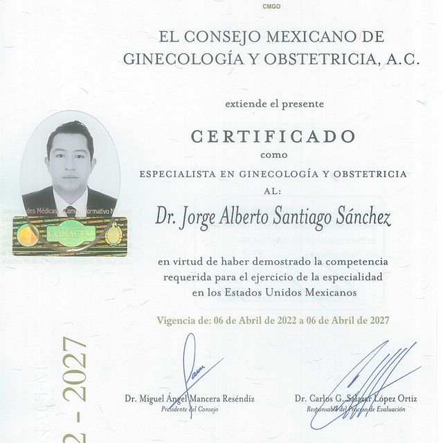 Ampliar imagen: certificate 4