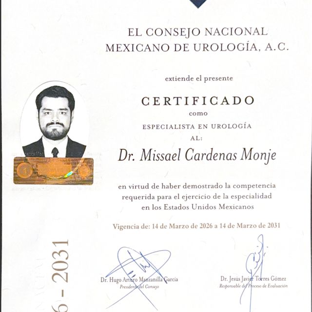 Ampliar imagen: certificate 2
