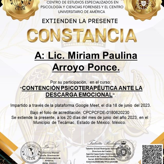 Ampliar imagen: certificate 4