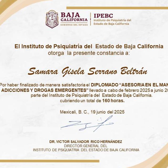 Ampliar imagen: certificate 19