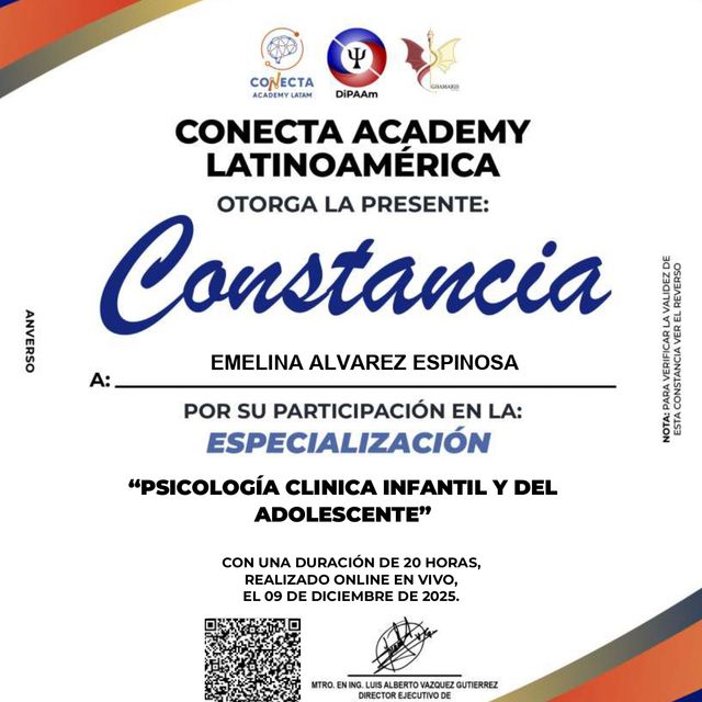 Ampliar imagen: certificate 2