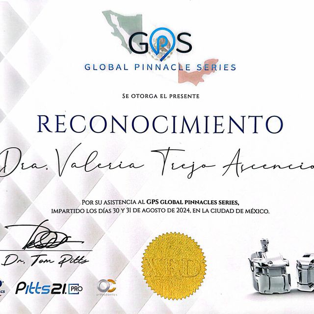 Ampliar imagen: certificate 6