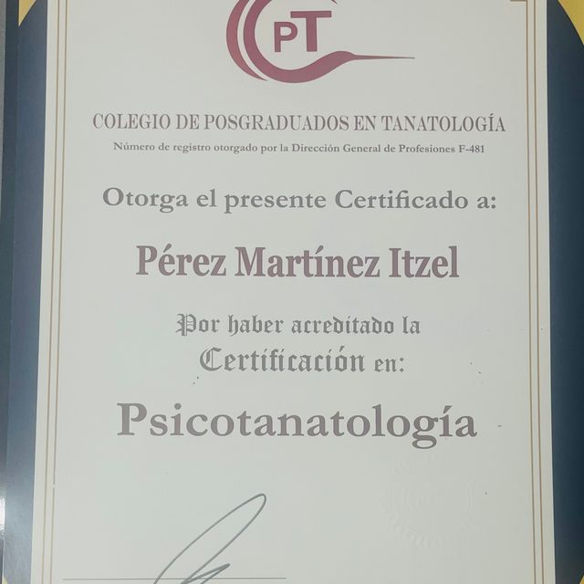 Ampliar imagen: certificate 1