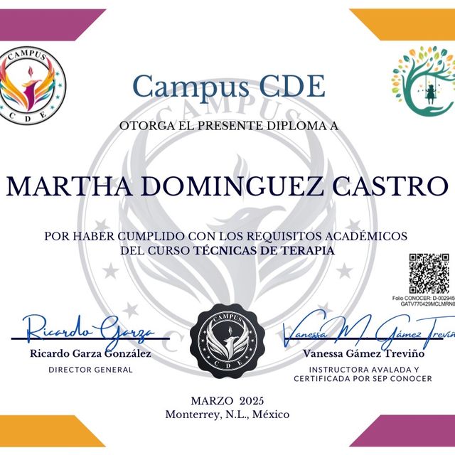 Ampliar imagen: certificate 6