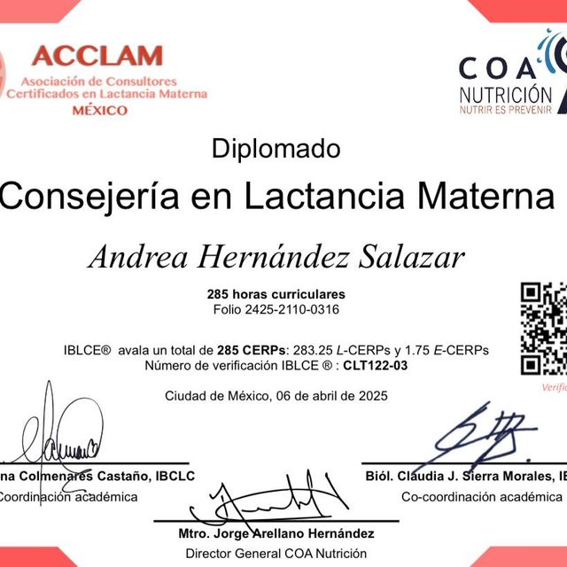 Ampliar imagen: certificate 4