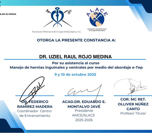 Ampliar imagen: certificate 17