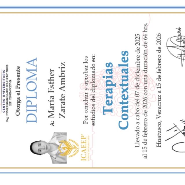 Ampliar imagen: certificate 12