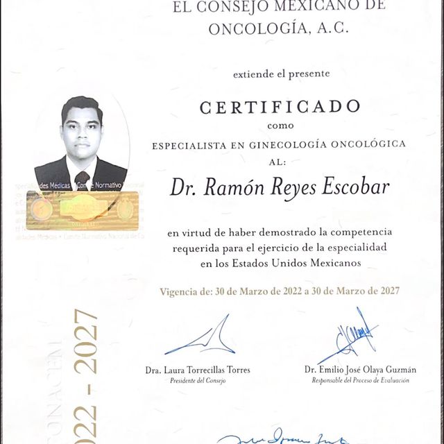 Ampliar imagen: certificate 1