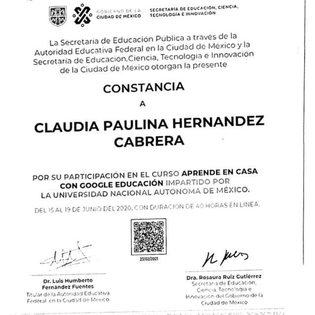 Ampliar imagen: certificate 14