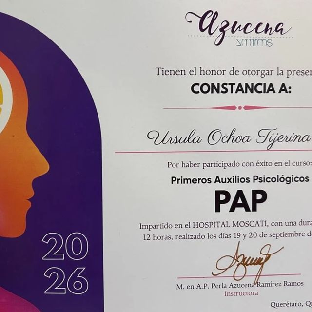 Ampliar imagen: certificate 4