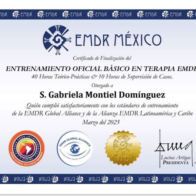 Ampliar imagen: certificate 19