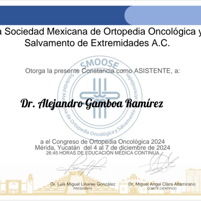 Ampliar imagen: certificate 3