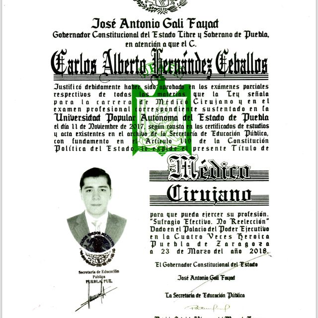 Ampliar imagen: certificate 1