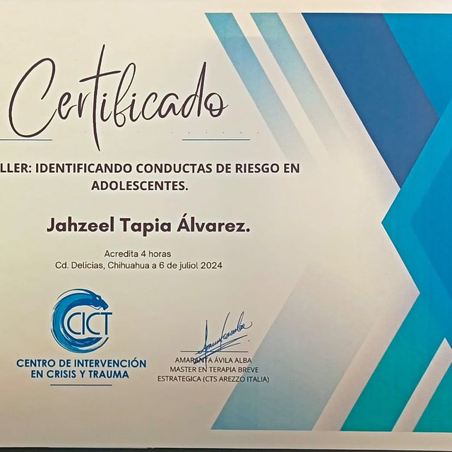 Ampliar imagen: certificate 13