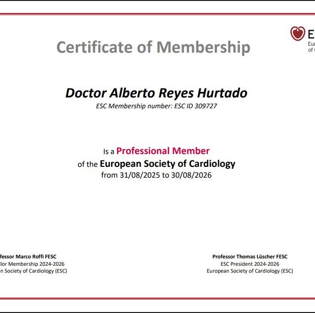 Ampliar imagen: certificate 4
