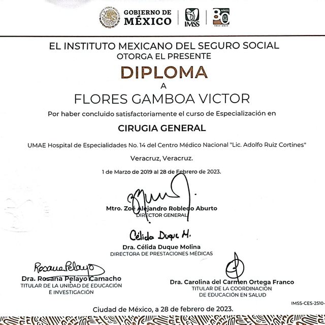 Ampliar imagen: certificate 4