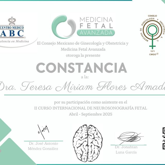 Ampliar imagen: certificate 5
