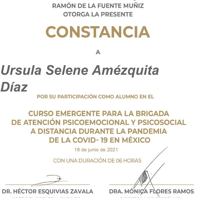 Ampliar imagen: certificate 3