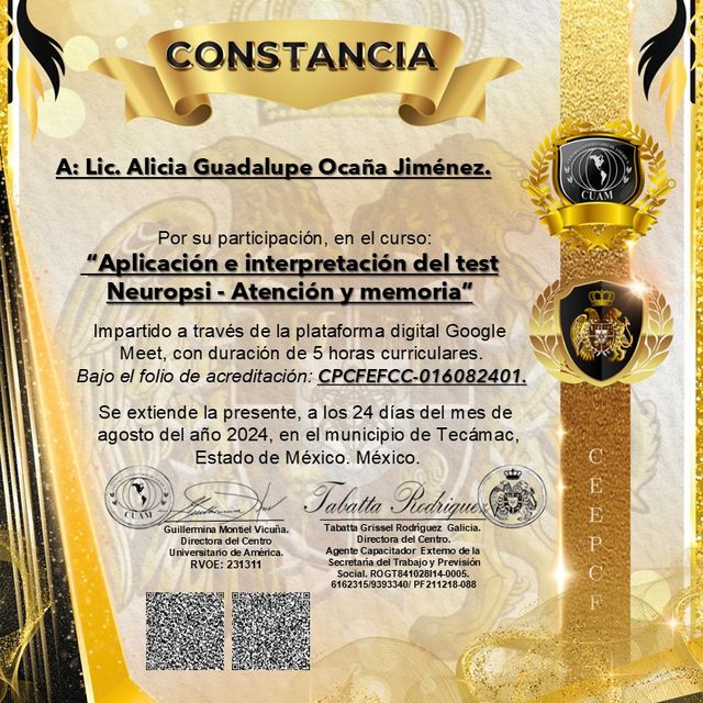 Ampliar imagen: certificate 2