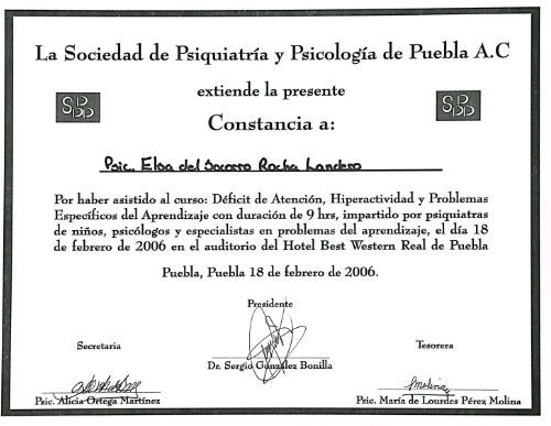 Ampliar imagen: certificate 4