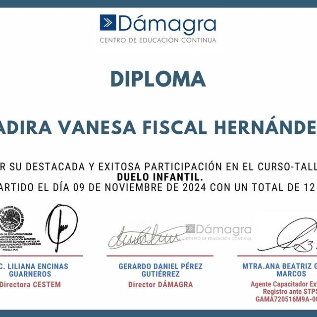 Ampliar imagen: certificate 8
