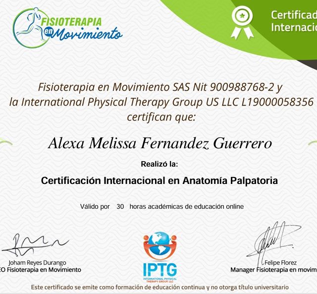 Ampliar imagen: certificate 1