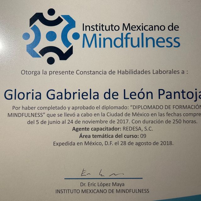 Ampliar imagen: certificate 2