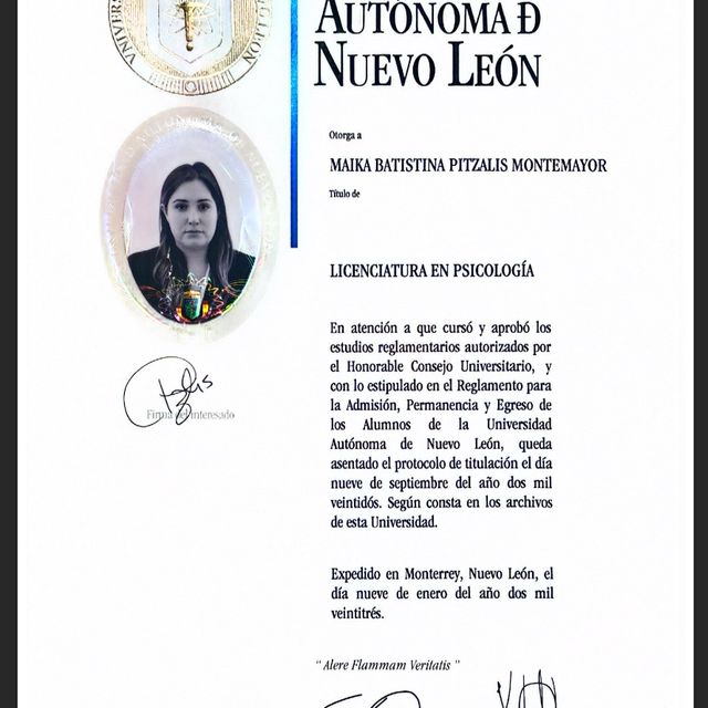Ampliar imagen: certificate 1