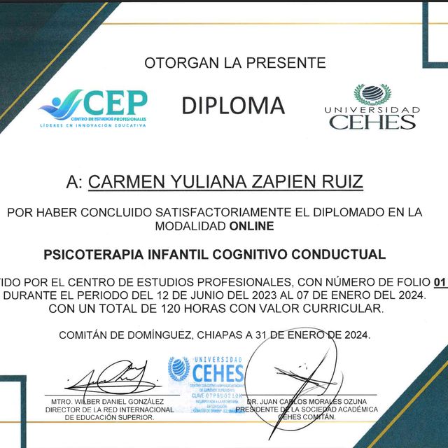 Ampliar imagen: certificate 2