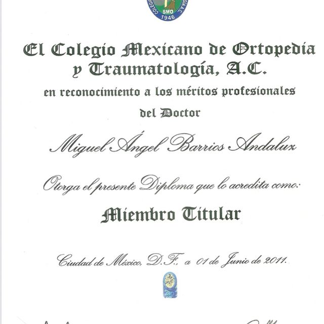 Ampliar imagen: certificate 3