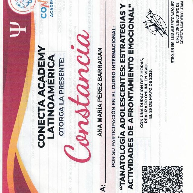 Ampliar imagen: certificate 12